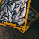 За неделю в Приморье и на Сахалине проконтролирован экспорт более 1 тысячи партий рыбы и морепродуктов
