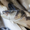 Правительство Сахалинской области запоздало создало перечень из трех рыболовных участков на Сахалине