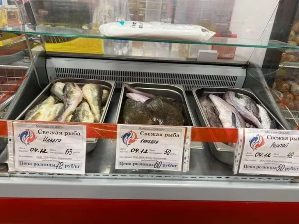 Почти 450 тонн свежевыловленной рыбы по сниженным ценам продали сахалинцам и курильчанам в 2022 году