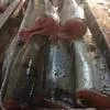 рыба, икра, краб в Южно-Сахалинске 10